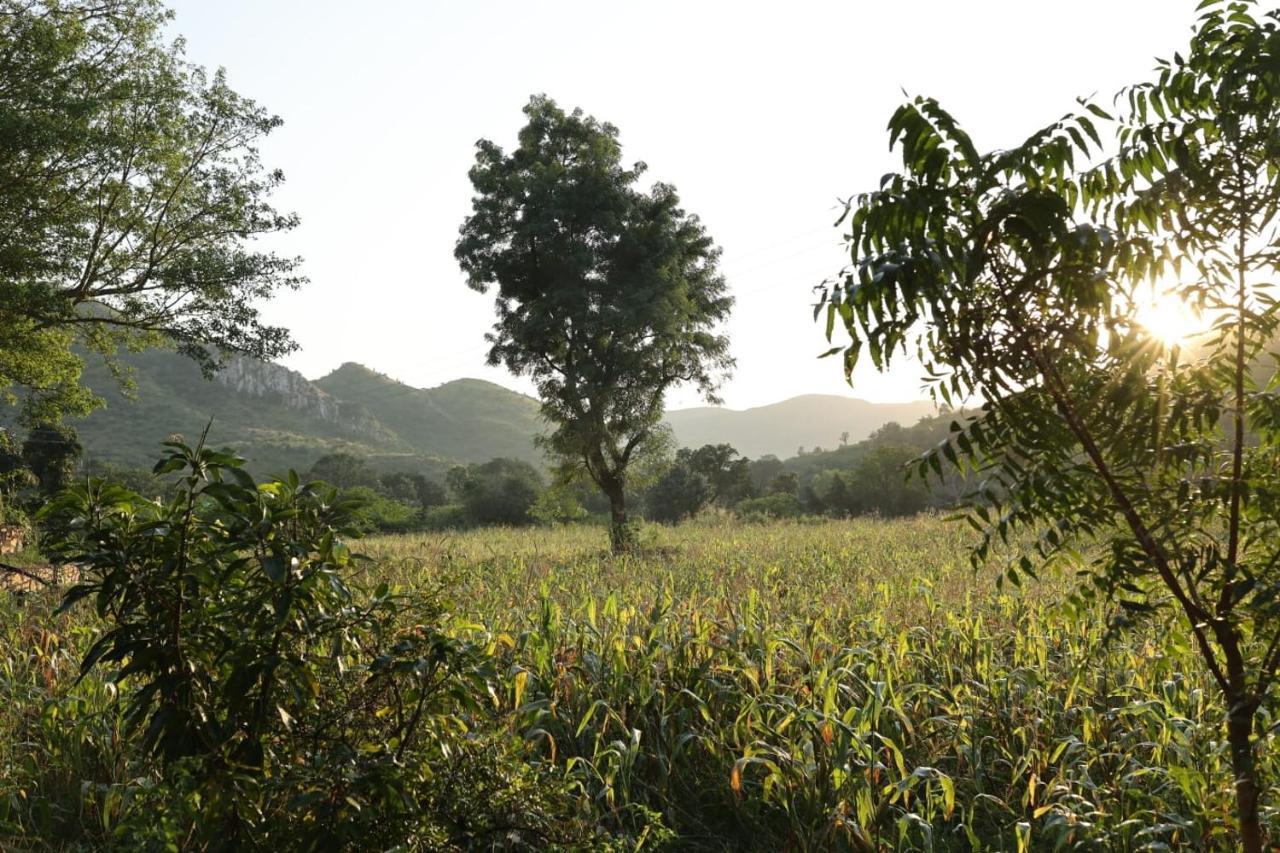 أُودايبور Vache Farm Stay المظهر الخارجي الصورة